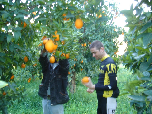 DSC00489.JPG